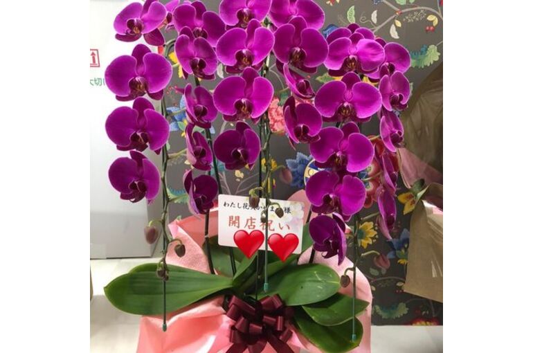 お祝いの花